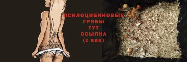 гидра Алексин