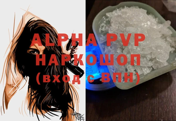 гидра Алексин