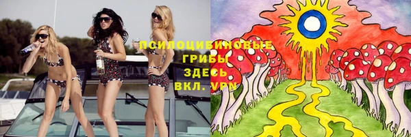 гидра Алексин