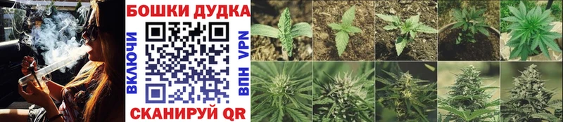 Марихуана гибрид  ОМГ ОМГ как зайти  Новосиль  даркнет сайт 